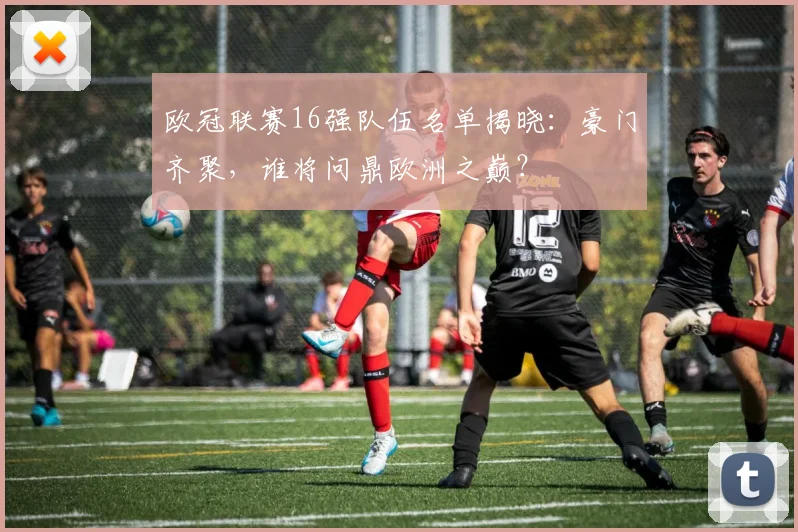 欧冠联赛16强队伍名单揭晓：豪门齐聚，谁将问鼎欧洲之巅？